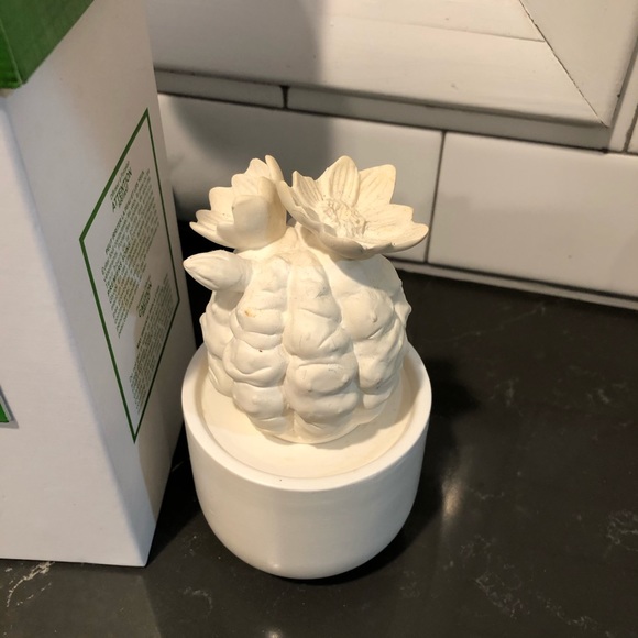 Anthropologie Cactus Diffuser - Picture 3 of 4